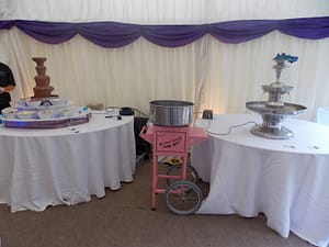holly-zoo-071-300x225 Champagne Fountain Hire